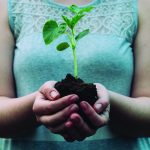 article image - produce